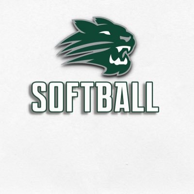 JenisonSoftball Profile