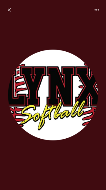 Brandon Valley Lynx Softball