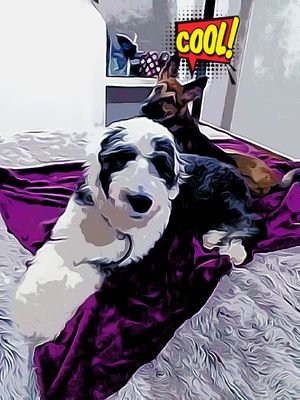 Mary12762224's profile picture. soy muy emprendedora,  amo a mis perros