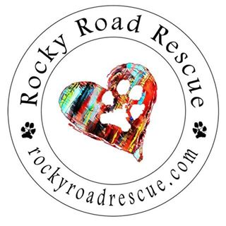 🎉Not for profit🎉, all-breed dog rescue 🐶 that is 100% foster based. Focused on ensuring that every dog and adopter is perfectly matched 💕#RockyRoadRescue