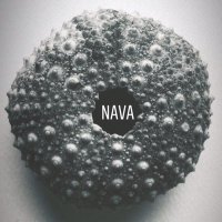 Margarita Nava 💚 (@mnavapintora) 's Twitter Profile