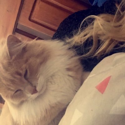 amsicee's profile picture. i play video games badly