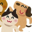 臨床工学技士のつぶやき (@vxdsvudpiwosk31) 's Twitter Profile