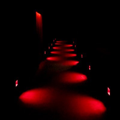 Mimas56040525's profile picture. 303