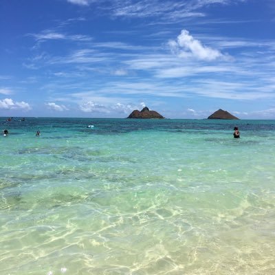 迅速な対応心掛けます。公演中止以外の返金(ランダムエラー含む)キャンセル不可。DM頂いた時点で同意したとみなします。