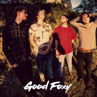 Good Foxy (@goodfoxy_) 's Twitter Profile