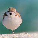 Donnie Best, Sr - @dhbestsr1 - Twitter