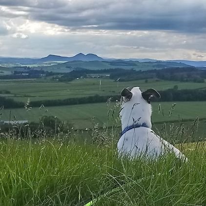 Keeping active. Sport and Exercise. Enjoying the outdoors. Scottish Borders and Scotland. Walking, Cycling, Hill Climbing, Running, Boccia. Activities for all.