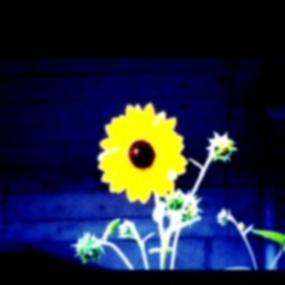 Michixx1122's profile picture. はじめまして〜
ひょんなことから禁煙以来のつぶやき復活と相成りました(^o^)