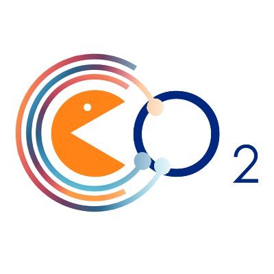 eCOCOO2's profile picture. eCOCO2 "Direct electrocatalytic conversion of CO2 into chemical energy  carriers in a co-ionic membrane reactor" ✈️ is a project under   @EU_H2020  GA Nº 838077