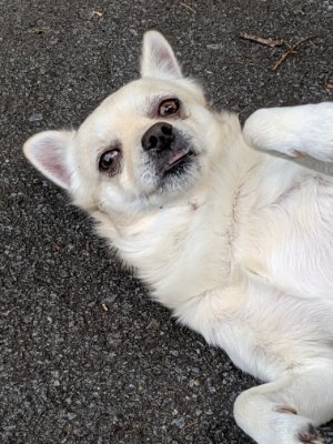 JamesSt86004968's profile picture. 