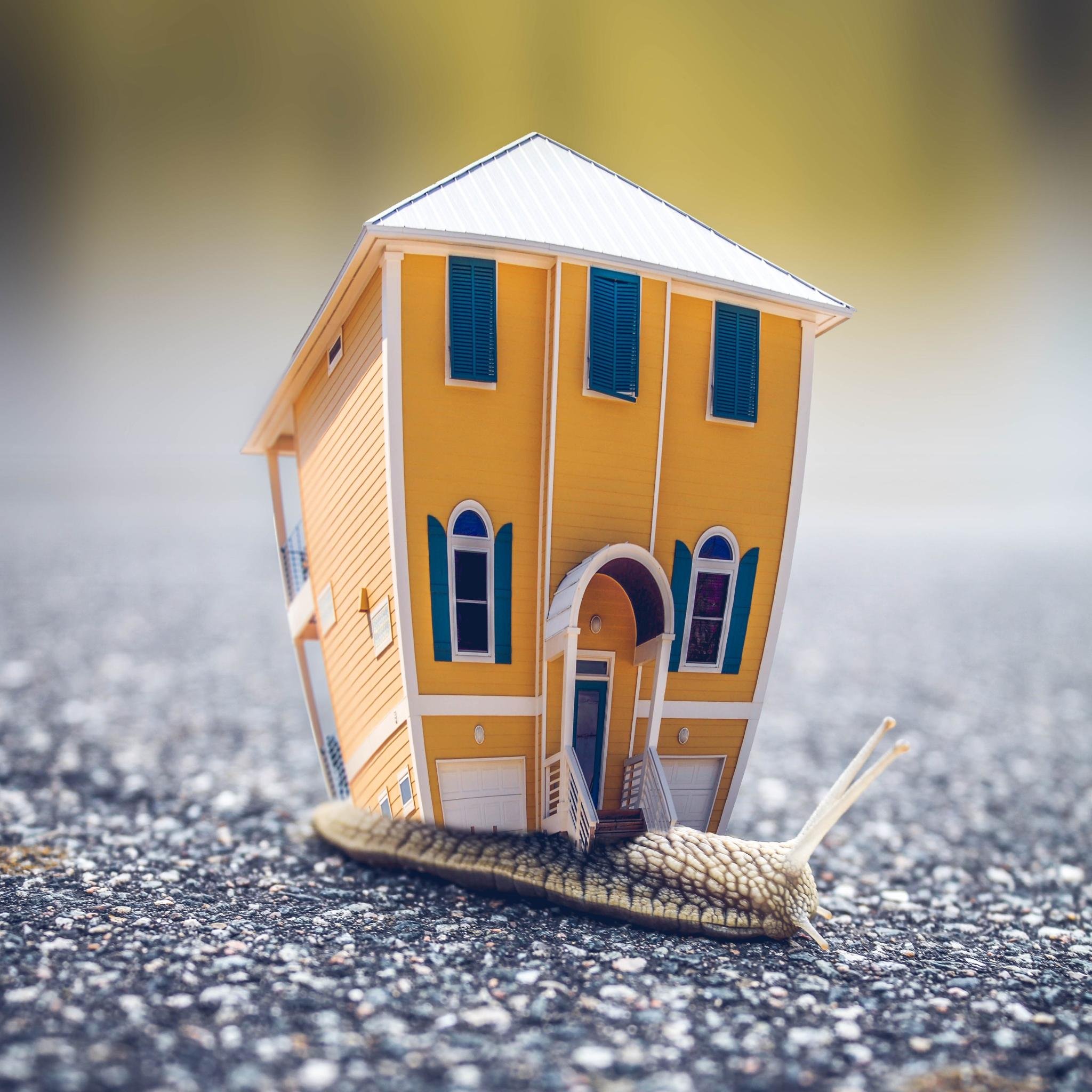 MyYellowBricks's profile picture. We are new home owners exploring #hometrends and #simpleinteriors to turn a house into a home ❤🏠. #MyYellowBrickHouse #BigglesMadeHome