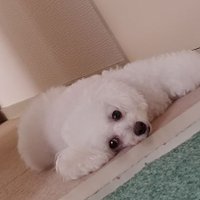 Mio@取引用垢🐾 (@mio_0824_) Twitter profile photo