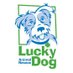 Lucky Dog (@dcluckydog) Twitter profile photo Lucky Dog (@dcluckydog) Twitter profile photo