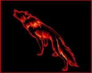 callistorising's profile picture. I love music and other stuff which takes too long to describe in 160 characters. The IB sucks.