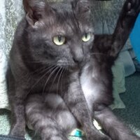 ゆうこ9y🦖＋7y🦖＋2y🎀 (@ukorinn) Twitter profile photo