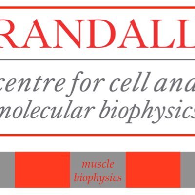 RBiophysics's profile picture. Randall Muscle Biophysics section: covering a wide range of muscle research, opinions are Randall Muscle Biophysics‘ own!