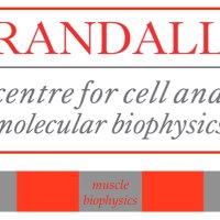 Randall Muscle Biophysics (@rbiophysics) 's Twitter Profile Photo Randall Muscle Biophysics (@rbiophysics) 's Twitter Profile Photo