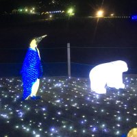 ひー (@ksshut) 's Twitter Profile