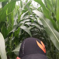 Mercier Martin (@merciermartin1) 's Twitter Profile Photo Mercier Martin (@merciermartin1) 's Twitter Profile Photo