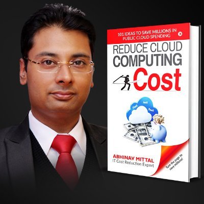 IT Cost Reduction Expert - Abhinav Mittal Profile