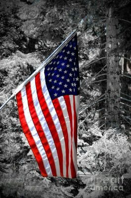 SZezatti's profile picture. 