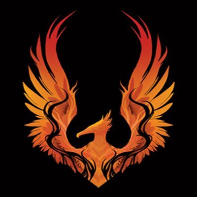 Phoenix ignition is part of the phoenix media group, and runs an esport team of the same name for the indy gaming league.