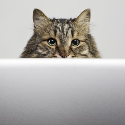 CyberGo76379524's profile picture. Cybersecurity professional