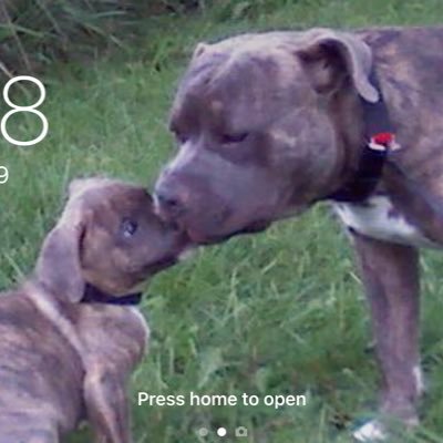 TommieChesser's profile picture. Family, Food,Fun