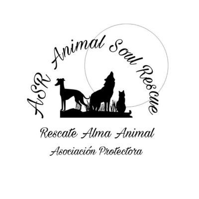 Damos una segunda oportunidad a animales abandonados y maltratados
🐶🐕
📩 Paypal: animalsoulrescue@hotmail.com
📷 Instagram:
ASR Animal Soul Rescue