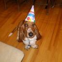 Ted Kramer - @TheReelGuy - Twitter