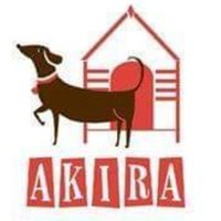 Akira Animal Shelter (@shelterakira) 's Twitter Profile Photo Akira Animal Shelter (@shelterakira) 's Twitter Profile Photo