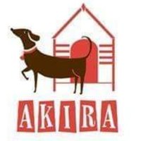 Akira Animal Shelter(@ShelterAkira) 's Twitter Profileg