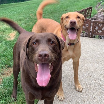 lfarrell99's profile picture. 