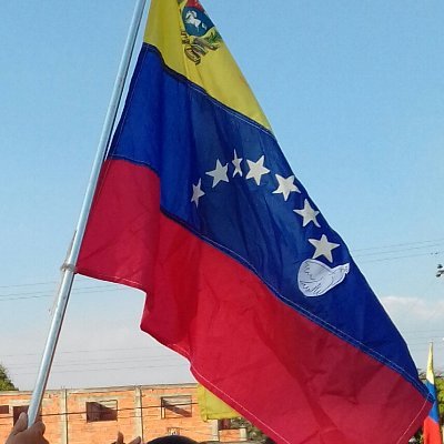 Venezolana, creyente de la democracia, bioanalista, 100% ambientalista