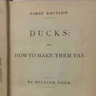 Just think what we could buy with that money: history books that know how the Korean War came out. Math books that don't have that base-6 crap in them!