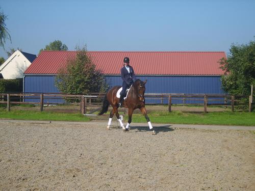Financieel administratief medewerker, paarden hooligan ;), loving the life I'm living!!
