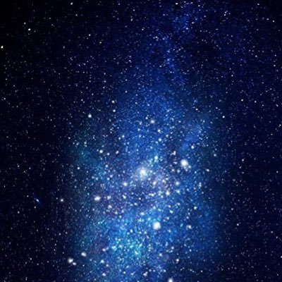 ppresentperfect's profile picture. / capture the moment /