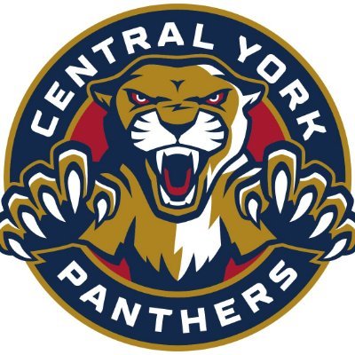 Girls and Women's hockey in Central York Region. 
Proud home of the Central York Panthers.