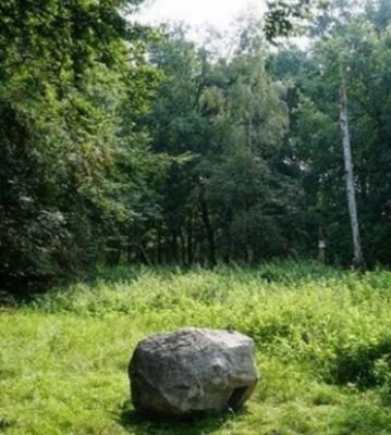 Камень в лесу.
Стабильность.