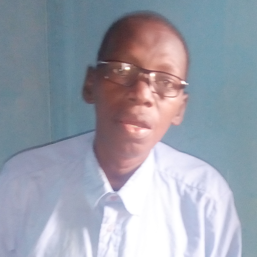 saelistech's profile picture. Formateur en informatique,wordpress, toweb, excel, access, et en maintenance