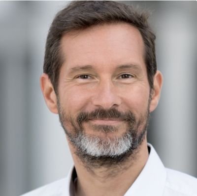 webversion's profile picture. Developer