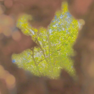 EG17891231's profile picture. 