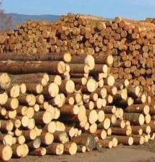 Timber supply market / Rundholzmärkte / Austria