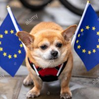 Dan Ashcroft FBPE #Pro🇪🇺 🇬🇧🇮🇪(@DanAshcroft8) 's Twitter Profileg