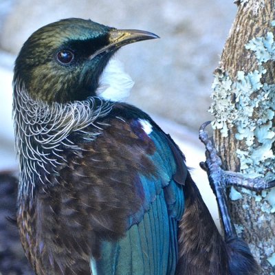 Gouldstephen3's profile picture. “Capturing nature's magical moments as moments come and go so quickly.”