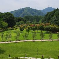 صالح ~ (@sale7_if) 's Twitter Profile Photo