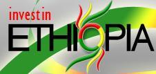 We provide information and networking for prospective investors in Ethiopia.
