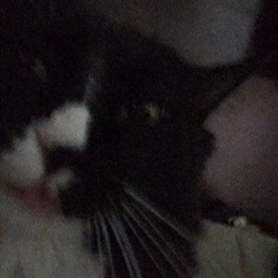roadkatt's profile picture. 