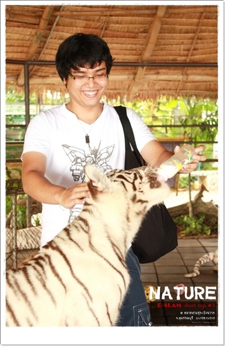 ธรรมชาติซับซ้อนเท่าที่มันจำเป็น ไม่มากไปกว่านั้น...